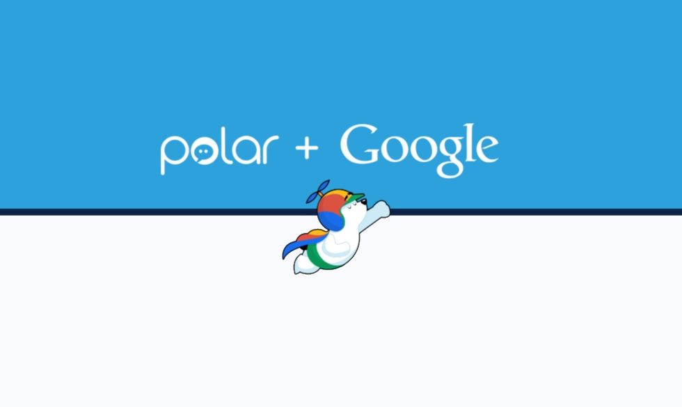 Ecco perché Google si compra Polar, startup specializzata in sondaggi