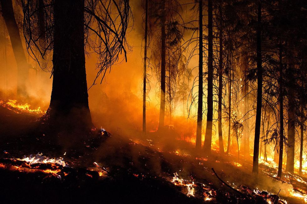 Le foto degli incendi in California