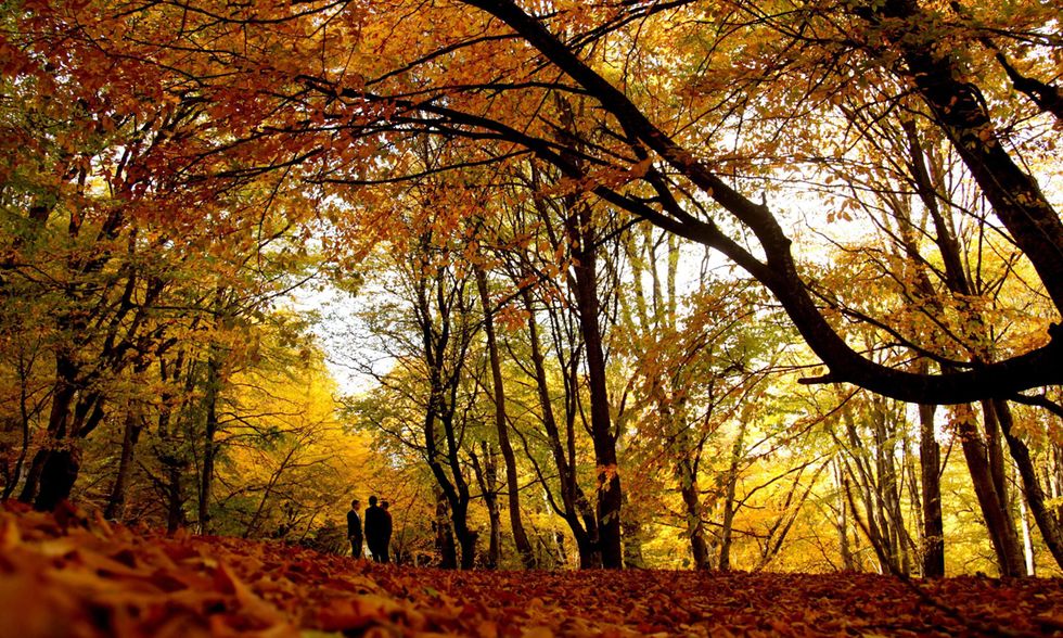 I colori dell'autunno nelle foto più belle