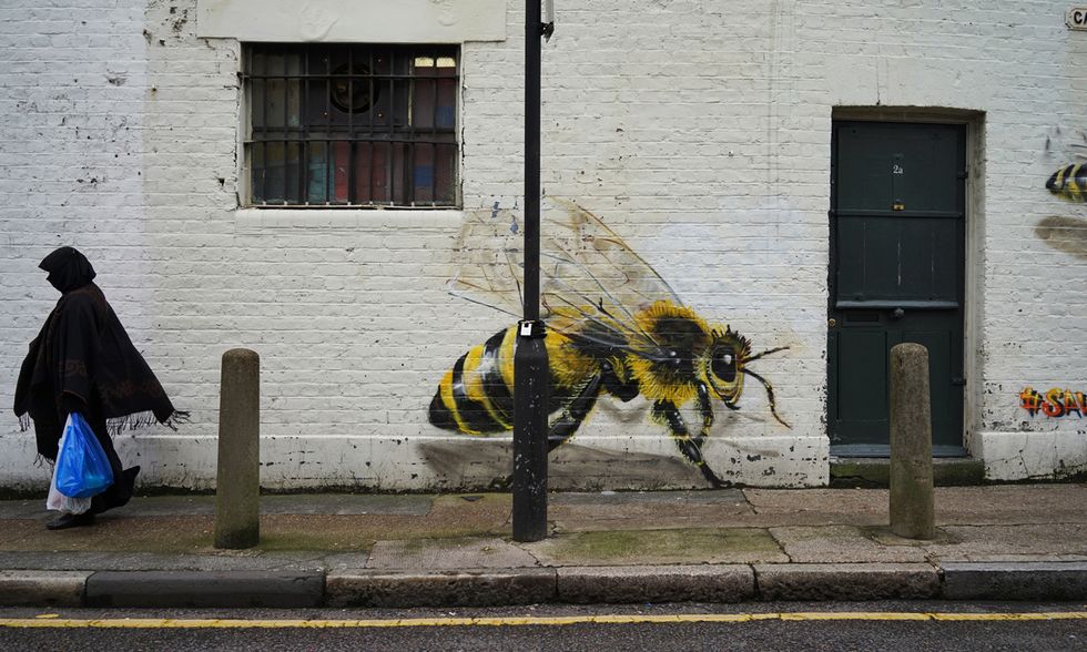 Londra, apicoltura urbana sui tetti