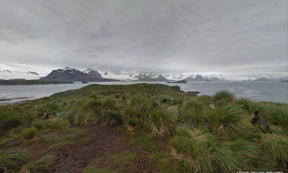 Google Street View sulle orme di Shackleton
