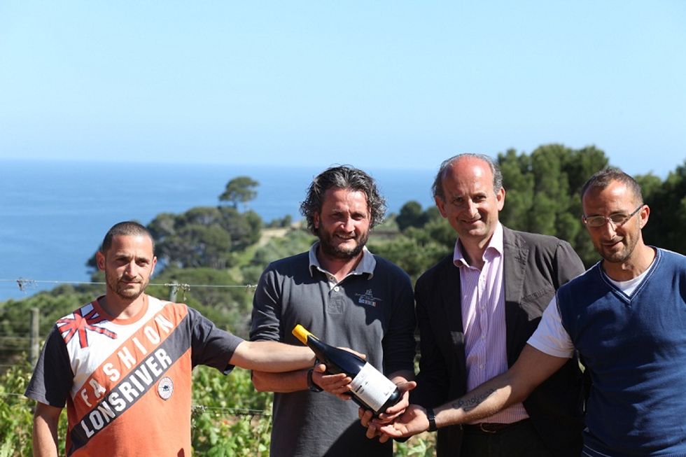 Gorgona, Frescobaldi's wine made by prisoners is finally on sale