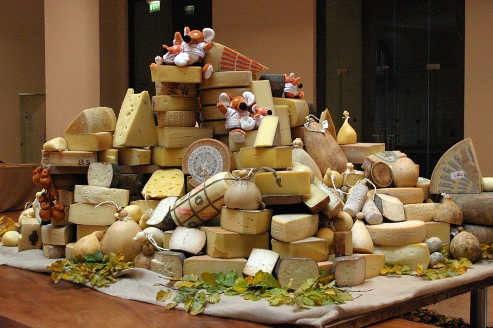 Welcome to CaseoArt, the first Italian cheese competition