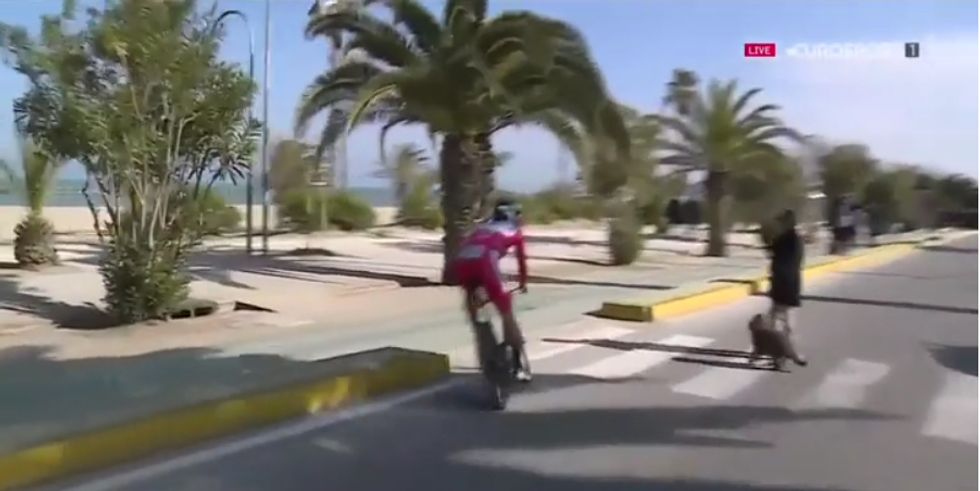 Peter Sagan alla Tirreno-Adriatico 2017 sfiora l'incidente con un cane