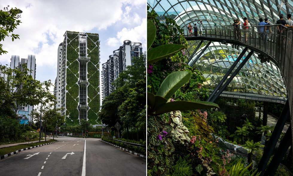 I giardini verticali di Singapore