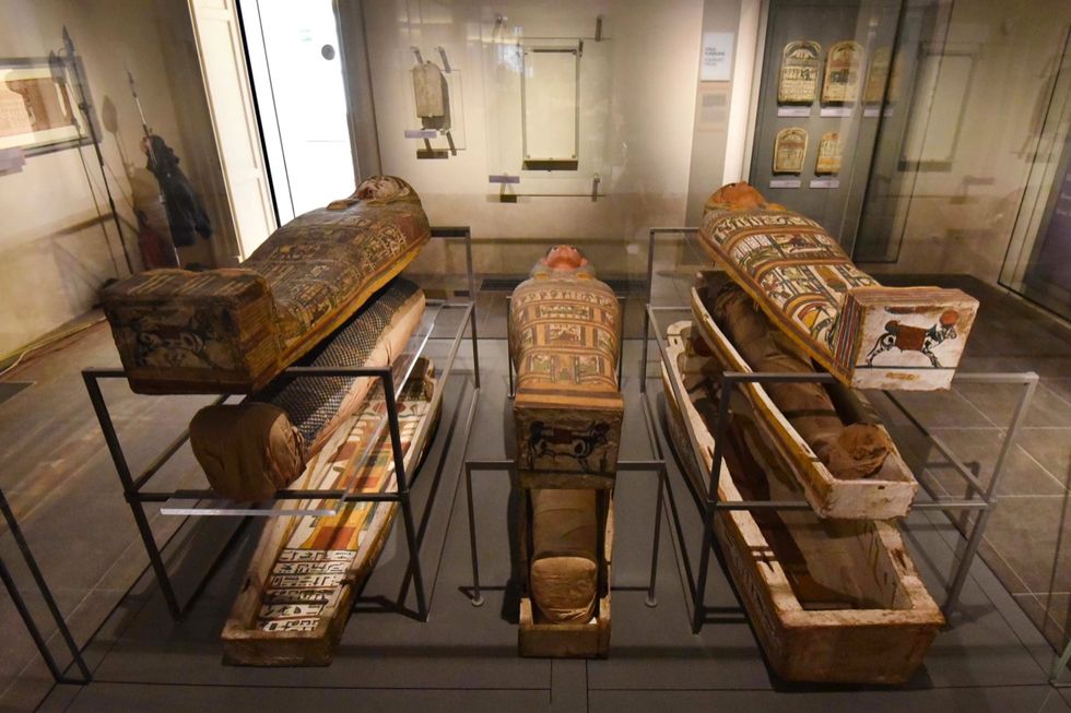 Il Nuovo Museo Egizio di Torino - Le foto