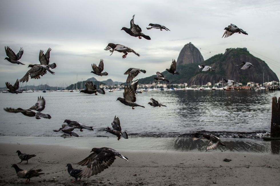 Rio 2016: la baia dei rifiuti