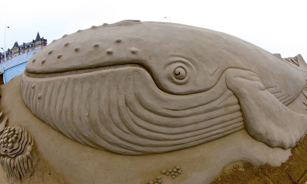 10 anni di sculture di sabbia a Weston