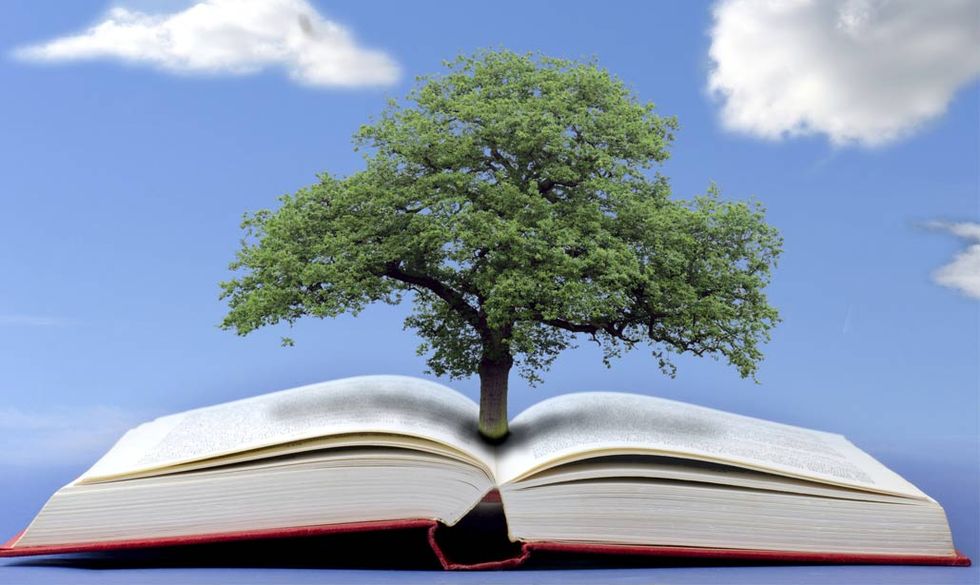'Libro Arbol', il libro che diventa un albero