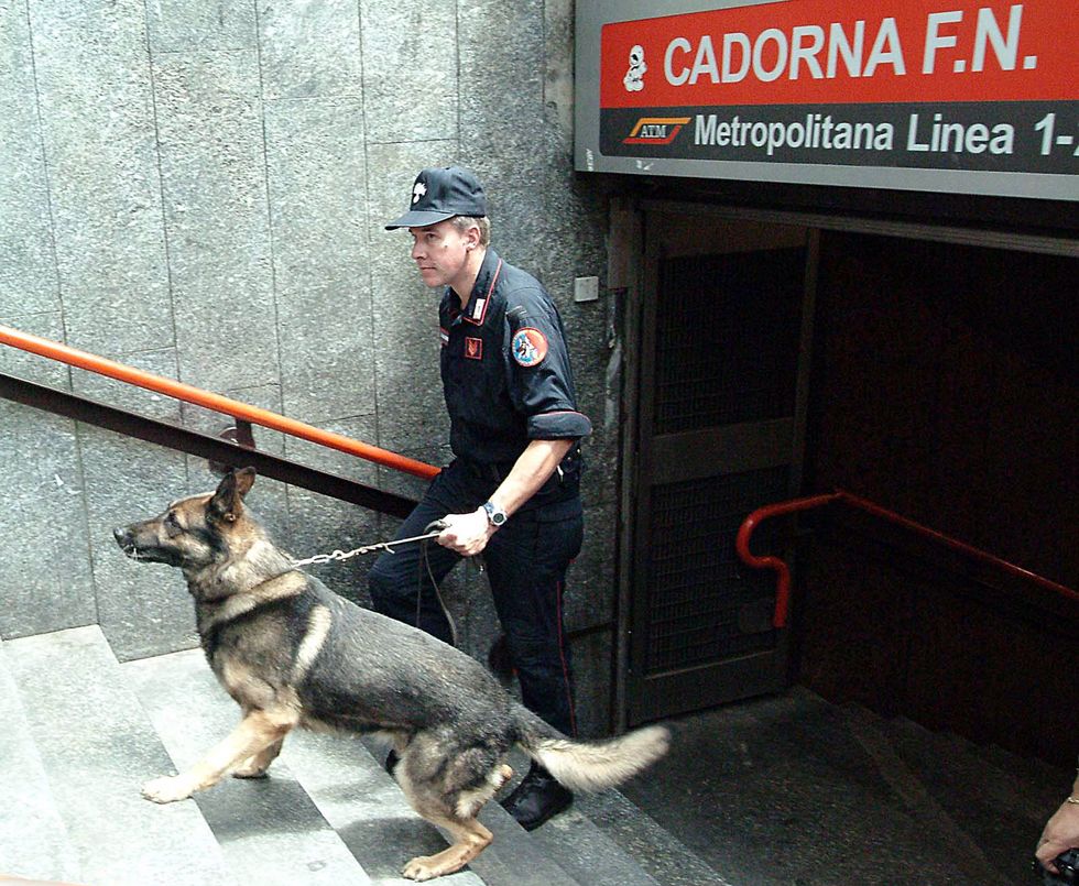 Droga, tabacco, denaro, esplosivi: ecco i cani delle forze dell'ordine