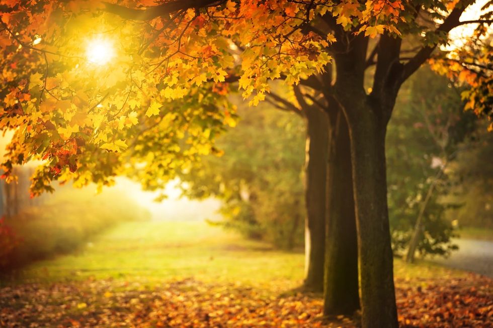 Cinque buoni motivi per amare l'autunno