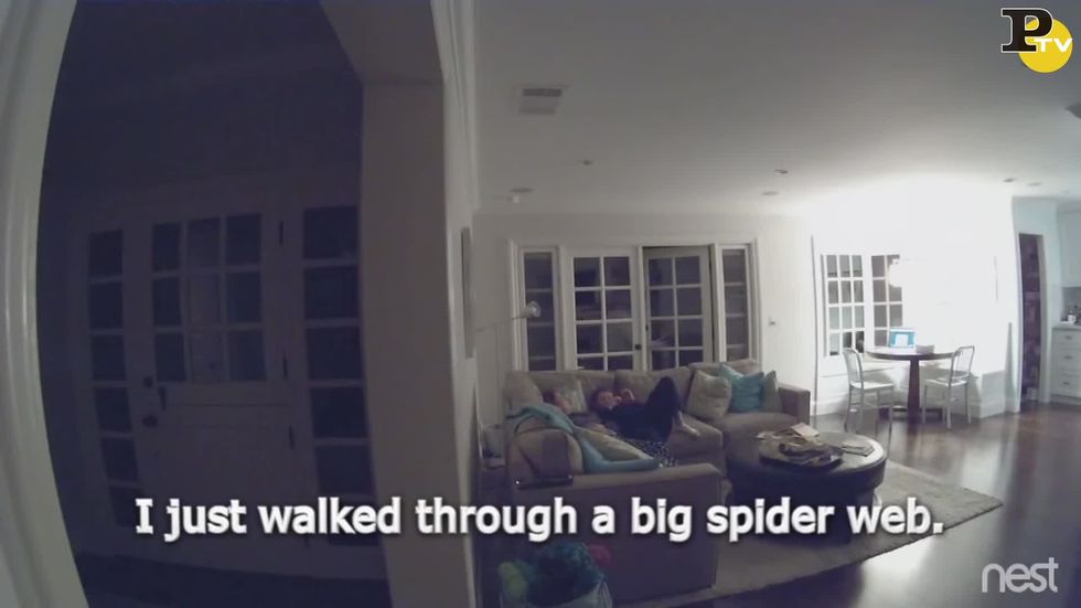 Un'intera famiglia perde la testa a causa di un ragno