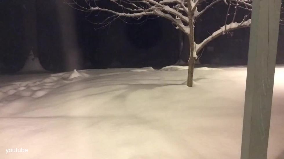Tempesta Jonas: il time-lapse della neve in Virginia