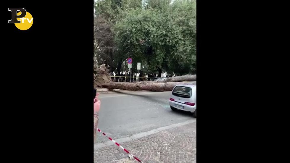 Roma, cade un albero su auto in centro, due feriti gravi