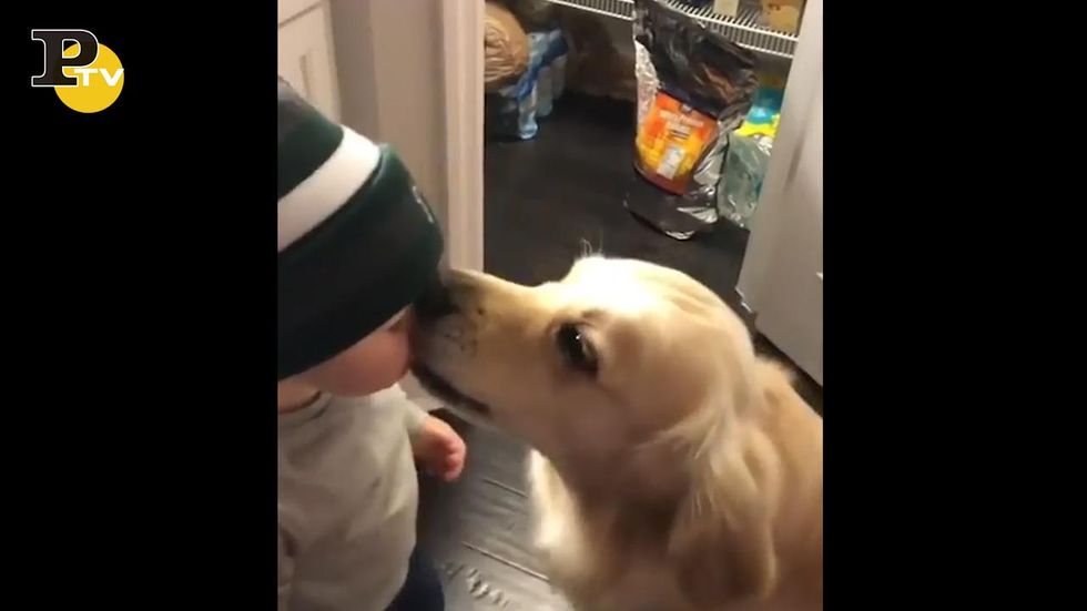 Bambino cerca di dare un bacio al cane