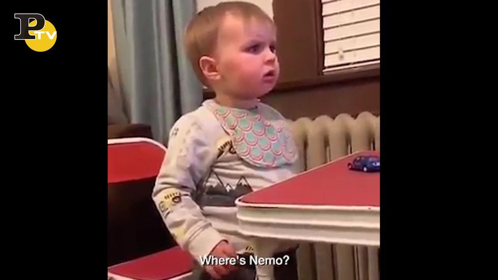 La divertente reazione del bimbo che guarda Alla ricerca di Nemo