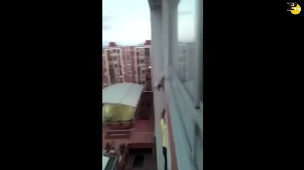 Salva il cane che sta per cadere dal balcone