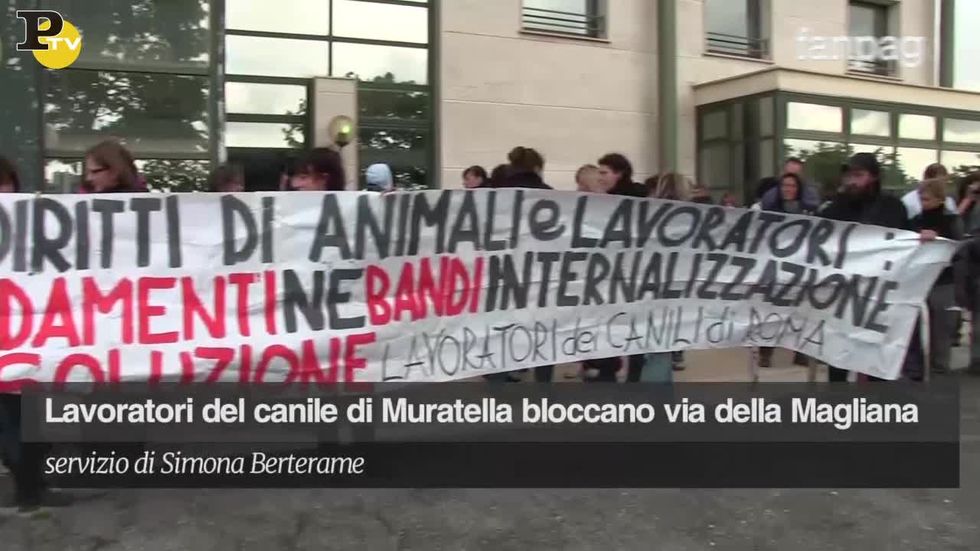 Roma: occupazione per il canile di Muratella