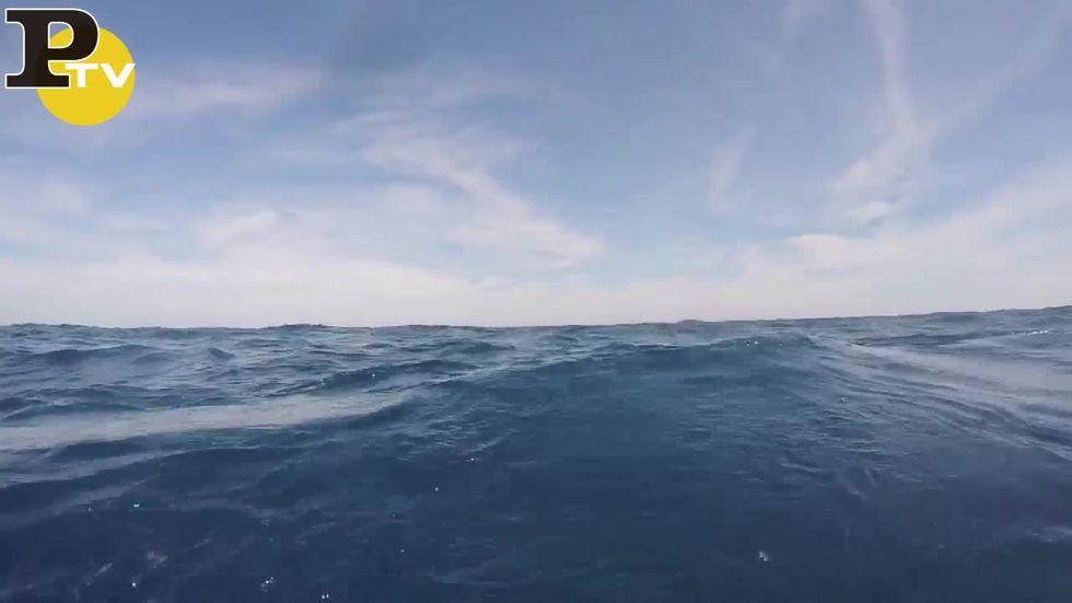 Sommozzatore circondato da uno squalo