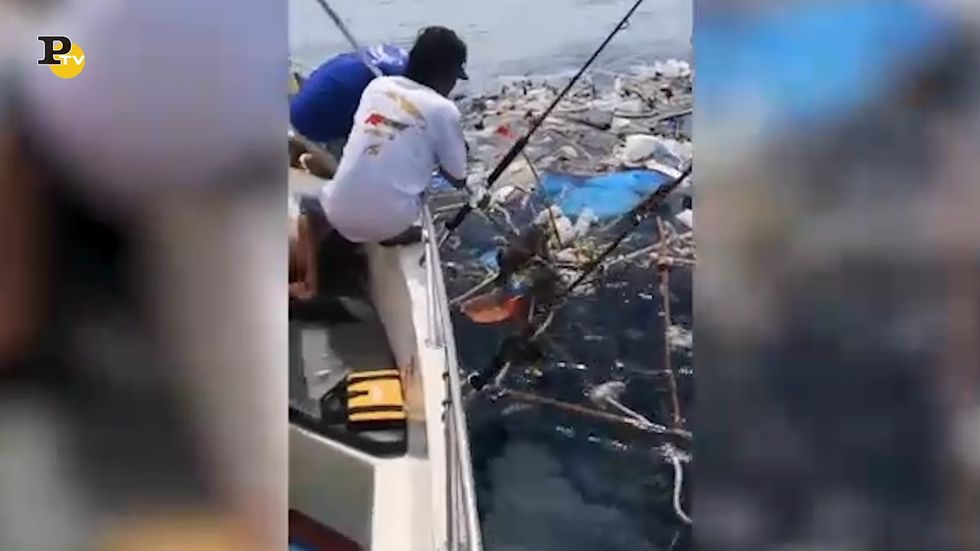 Pescatori salvano le tartarughe imprigionate nella plastica