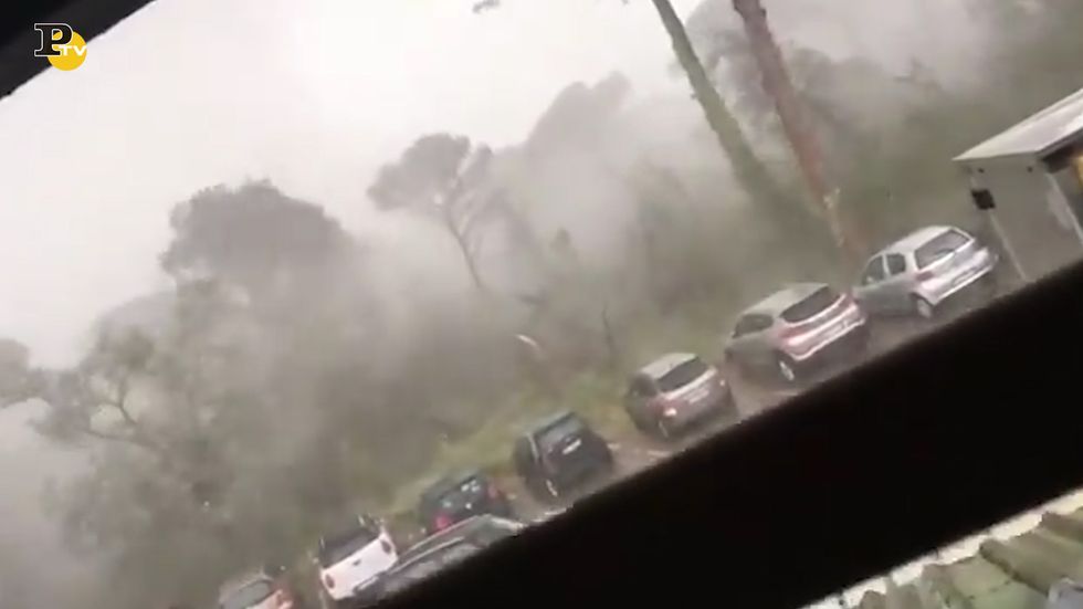 Milano Marittima, tromba d'aria fa crollare 200 pini secolari
