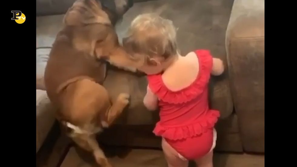 Una bambina e il suo cagnolino cercano di sedersi sul divano