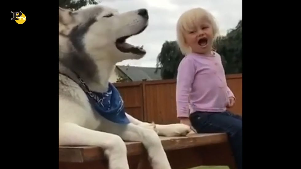 Un cane e una bambina urlano e si divertono