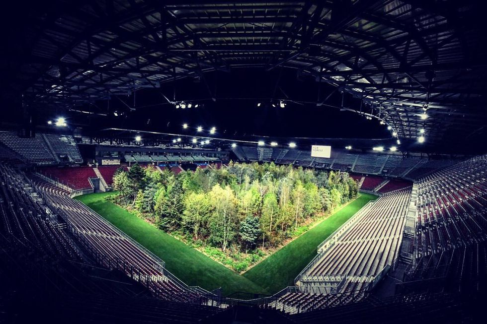 La foresta invade lo stadio