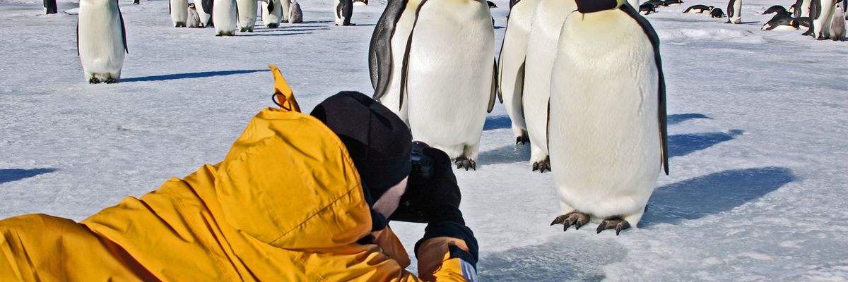 Andare in Antartide (senza Covid) con scienziati e geografi
