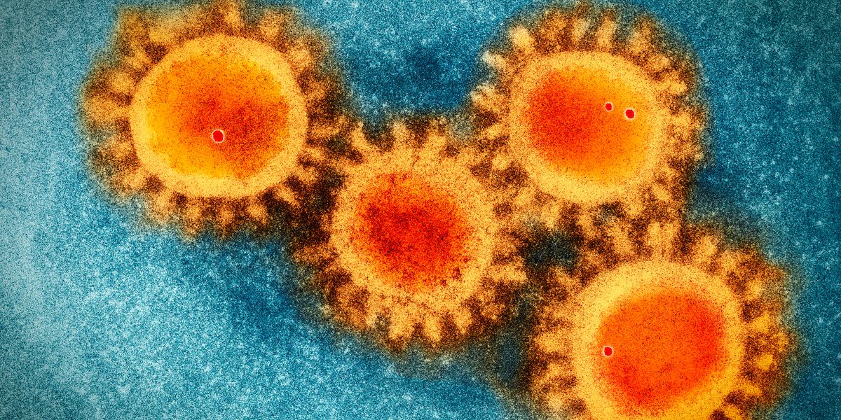 Il coronavirus spiegato ai piccolini