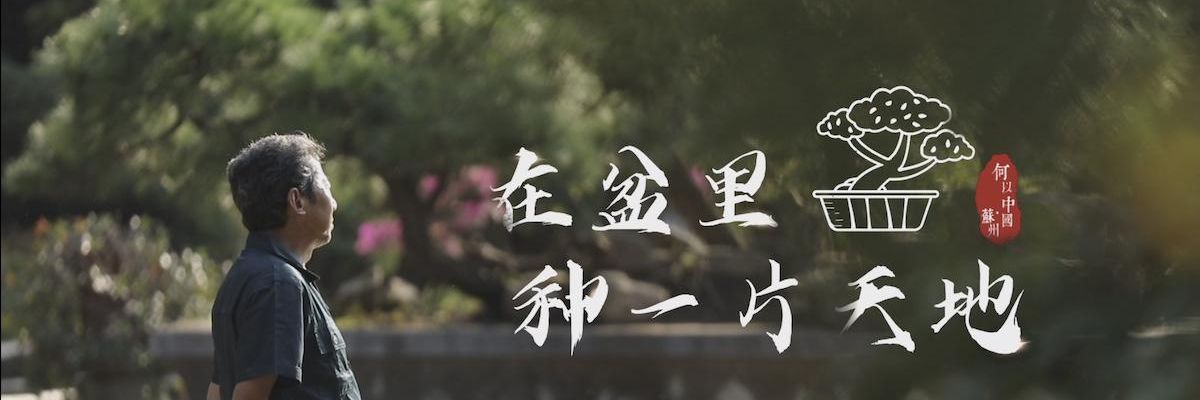 Rui Liangyuan: il mondo in un bonsai