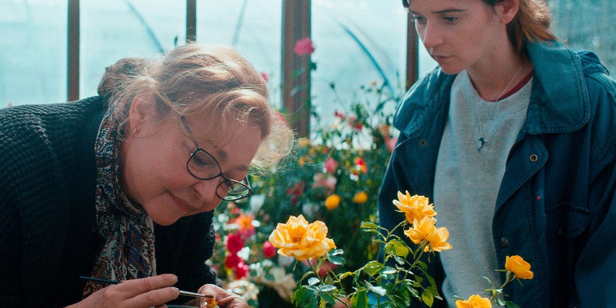 La signora delle rose: al cinema l'intrigante mondo dei designer di fiori - Video