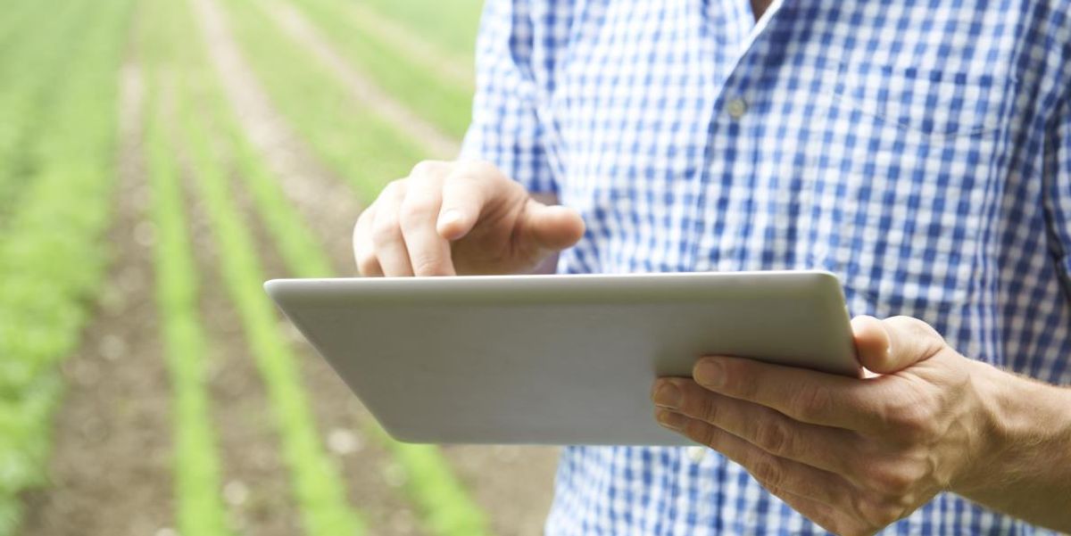 BASF acquisisce l’innovativa società Horta per rafforzare la sua offerta nel digital farming