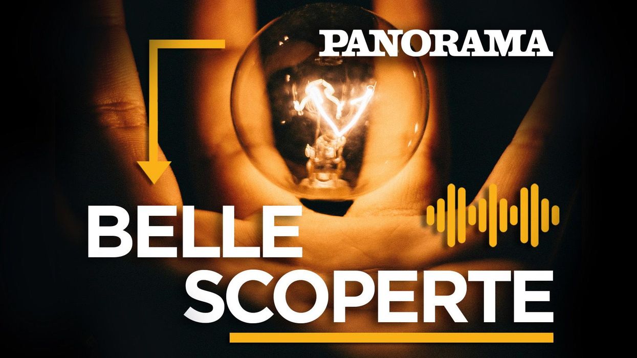 Belle Scoperte | Corvo sapiens