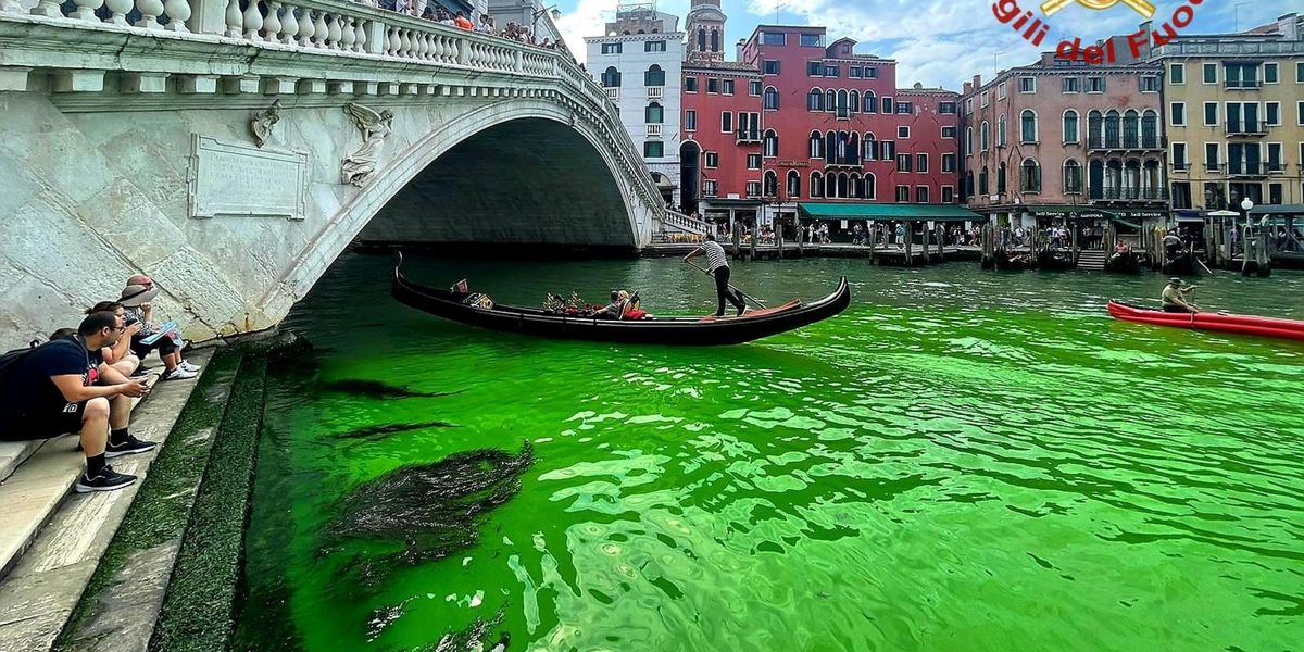 Venezia, si tinge di verde fosforescente l'acqua del Canal Grande