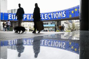 europa elezioni