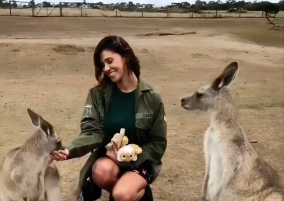 Belen e Iannone in Australia: il video Instragram con i canguri