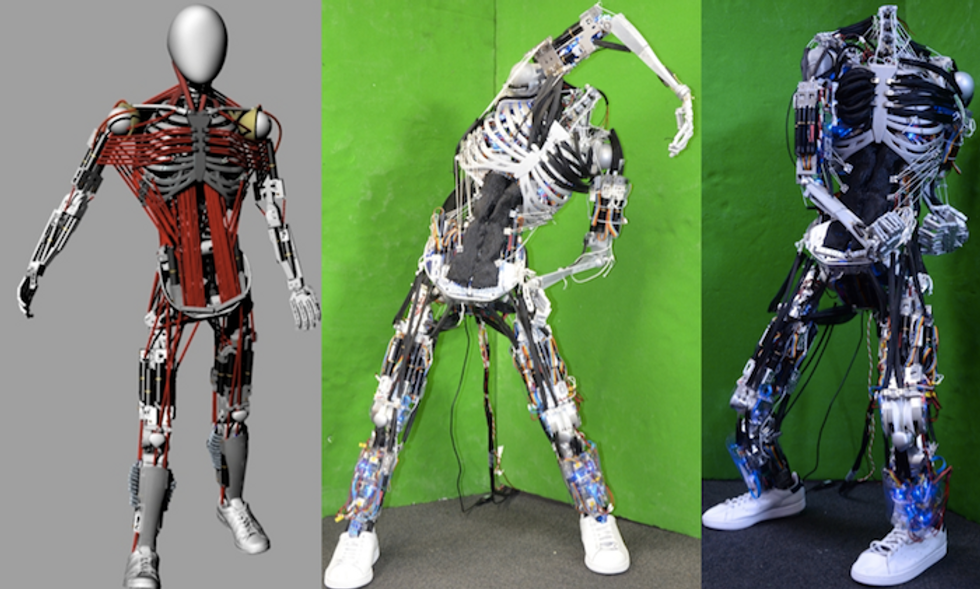 Kenshiro: il robot che ha i muscoli