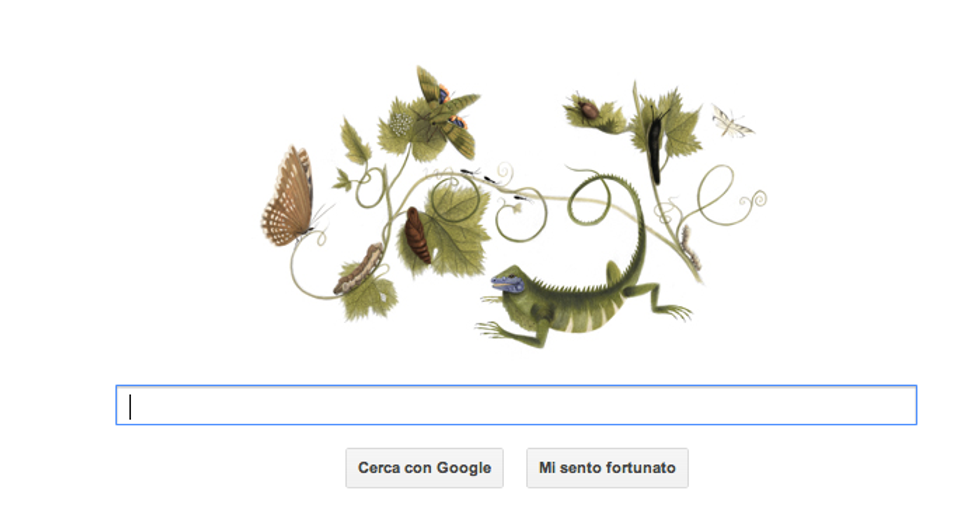 Un doodle per la donna che amava gli insetti