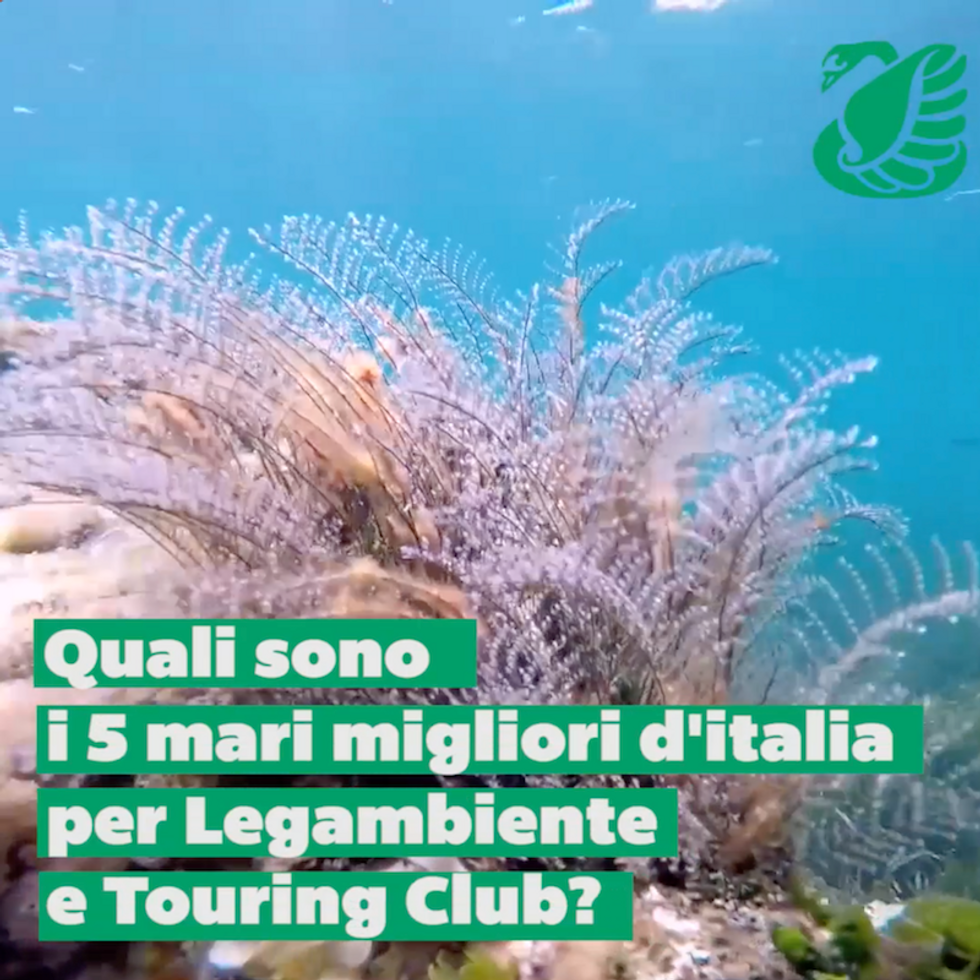 Ecco i 5 mari italiani più belli secondo Legambiente e Touring Club