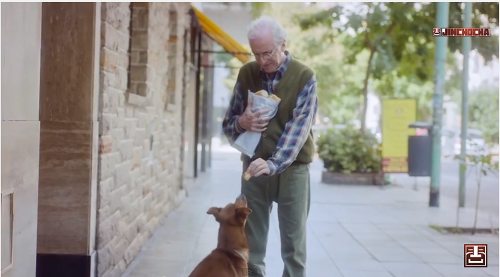 L'anziano col suo cane, la campagna argentina per la donazione d'organi