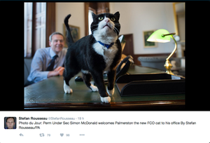 Palmerston, il gatto diplomatico