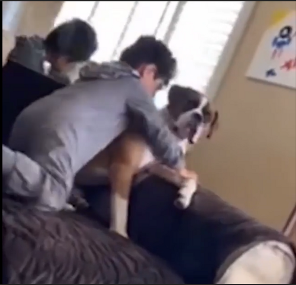 Un bambino abbraccia il suo amico cane