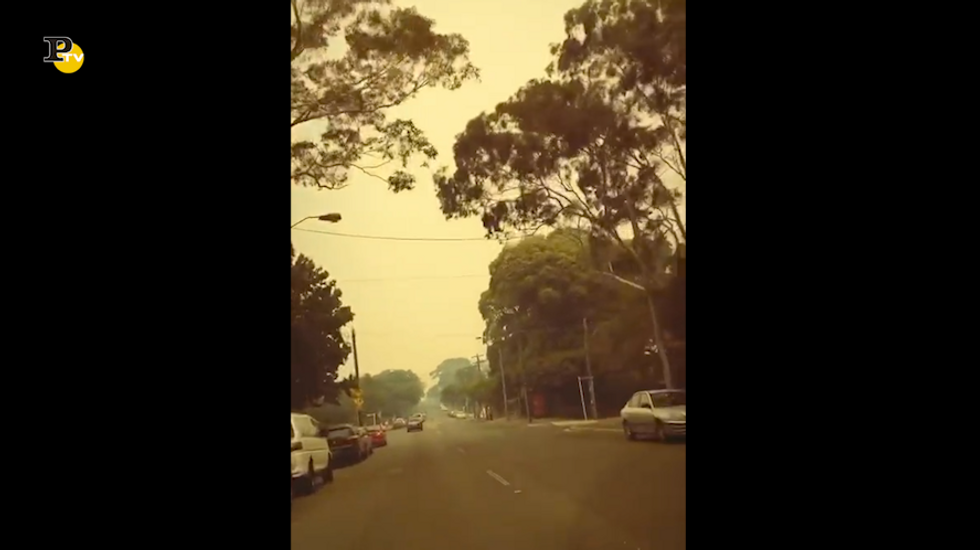 Sydney avvolta da una nuvola di fumo a causa dei continui incendi