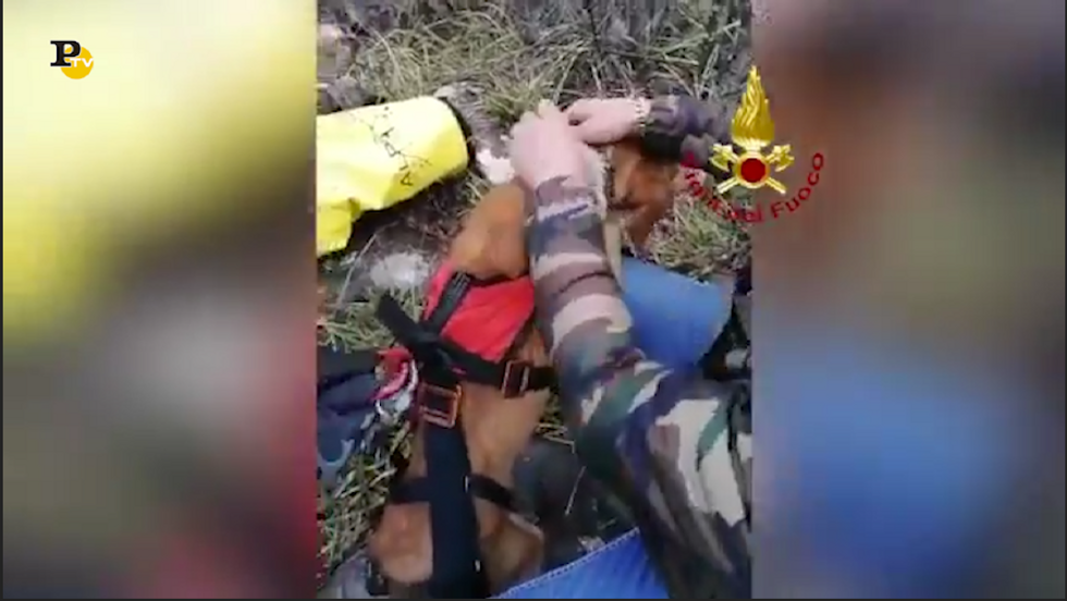 Cane portato in salvo dai Vigili del Fuoco di Salerno