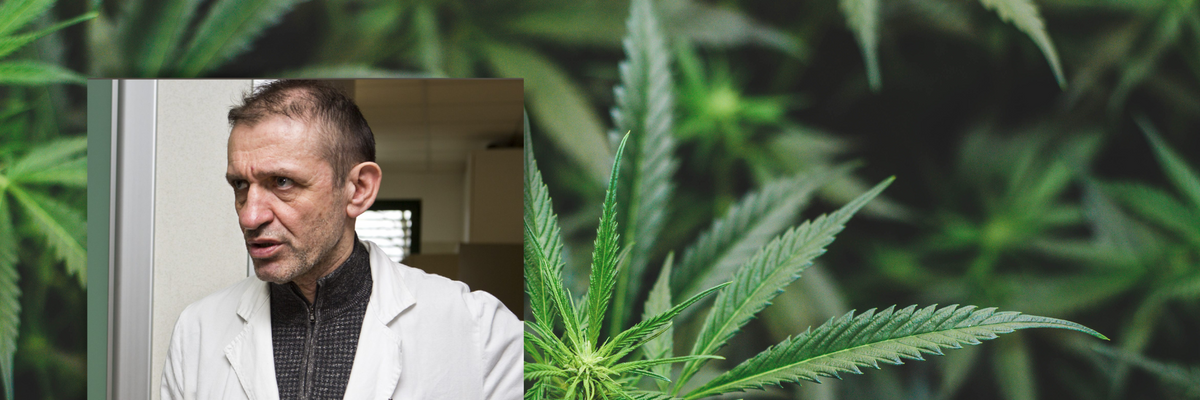 Il medico di San Patrignano: «La cannabis crea dipendenza»