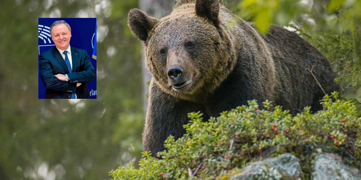 Berlato: «Abbattere Jj4 non significa mettere a rischio la presenza di orsi in Trentino»