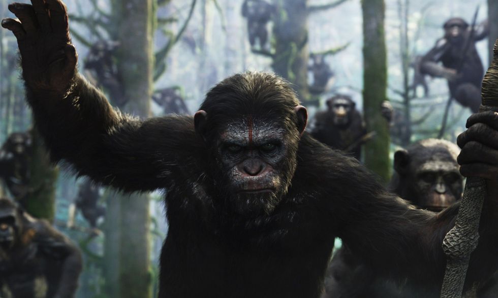 Apes Revolution - Il pianeta delle scimmie, thriller di Matt Reeves: 5 cose da sapere