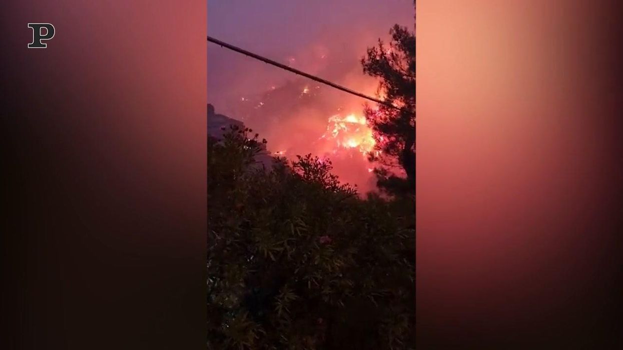 Incendi in Calabria, due morti e diversi feriti | video