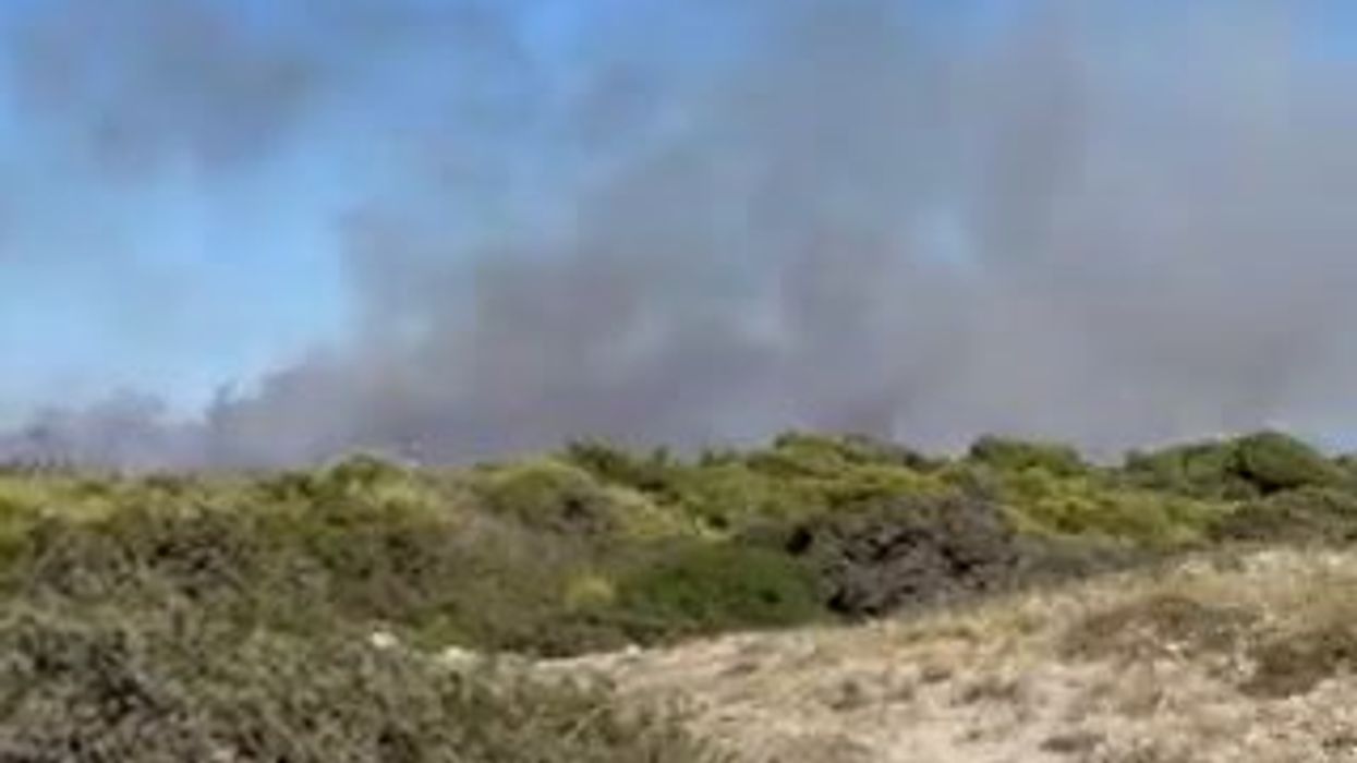 Puglia: incendio nella pineta a Ugento, turisti in fuga dalla spiaggia | video